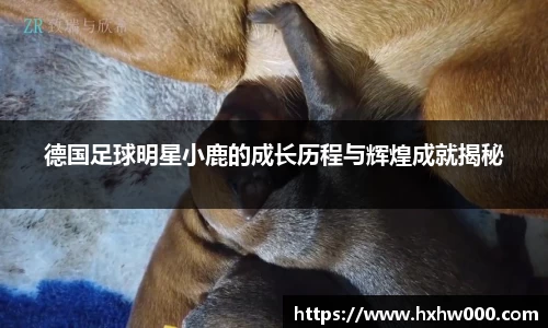 德国足球明星小鹿的成长历程与辉煌成就揭秘