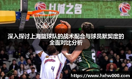 深入探讨上海篮球队的战术配合与球员默契度的全面对比分析